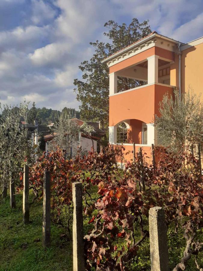 Apartments Rolovina تيفات المظهر الخارجي الصورة