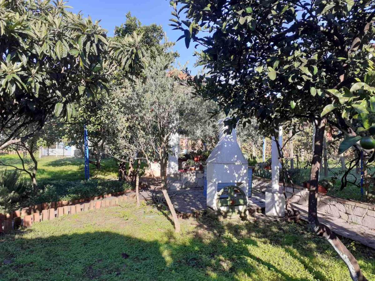 Apartments Rolovina تيفات المظهر الخارجي الصورة