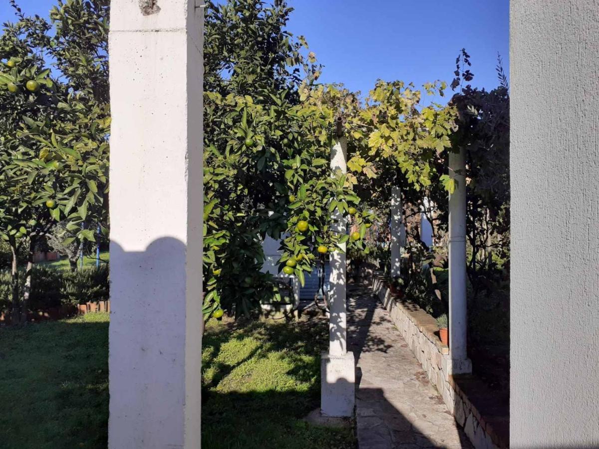 Apartments Rolovina تيفات المظهر الخارجي الصورة