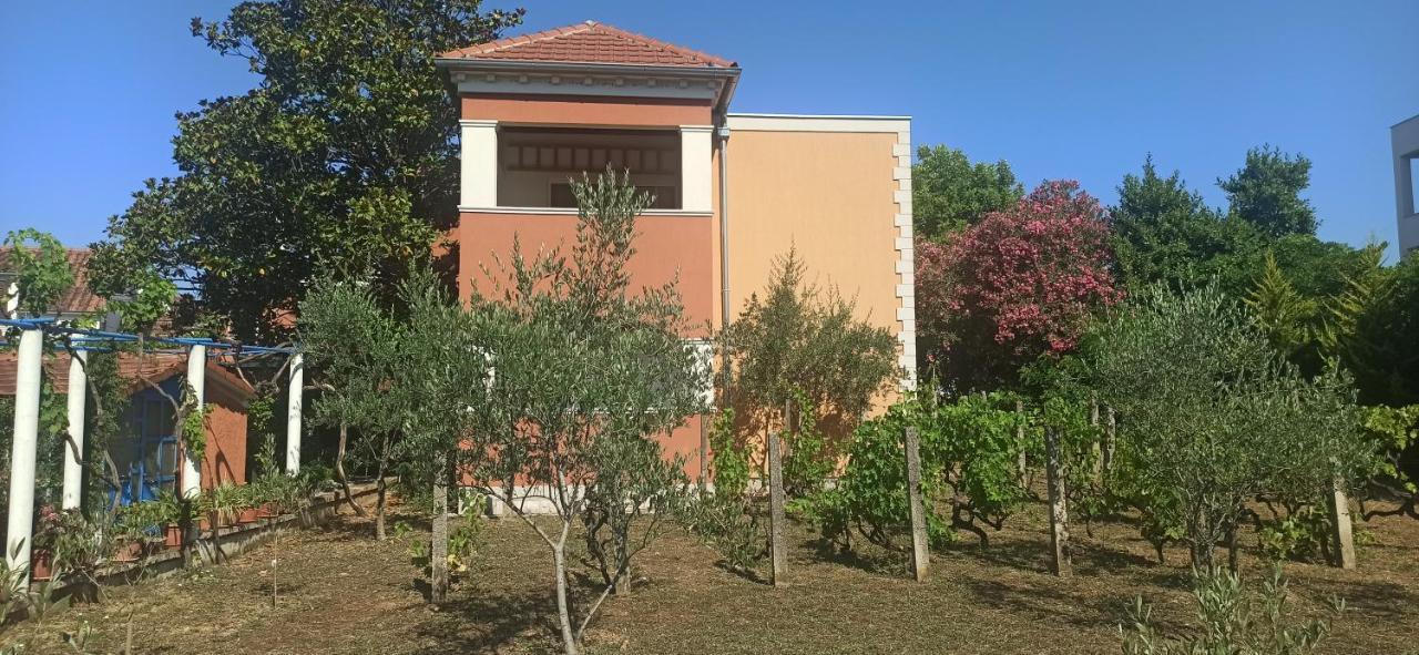 Apartments Rolovina تيفات المظهر الخارجي الصورة